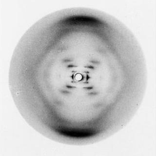Rosalind Franklin (1951) - Foto 51: Difração de raio-x do DNA. Reproduzido de DNA Learning Center ID 15014. Creative Commons Attribution-Noncommercial-No Derivative Works 3.0 United States License