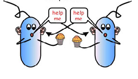 Comunicação de Bactérias