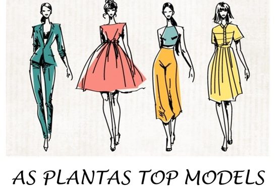 plantas top model