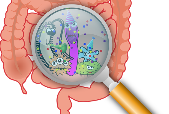 bacterias intestinais