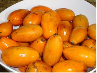 Fruto de Jaracatiá