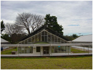 Imagem de uma das casas de vegetação da Estação Quarentenária do Cenargen, no Distrito Federal em 2012.