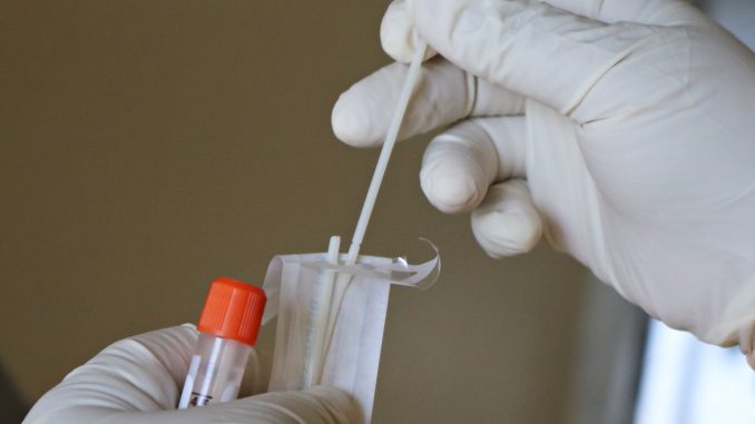 PCR mãos de luvas manuseando um teste PCR