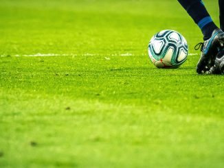 grama para futebol