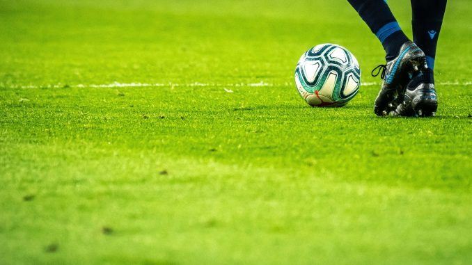 grama para futebol grama para futebol