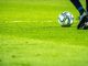 grama para futebol
