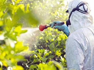 aplicação de agrotoxico