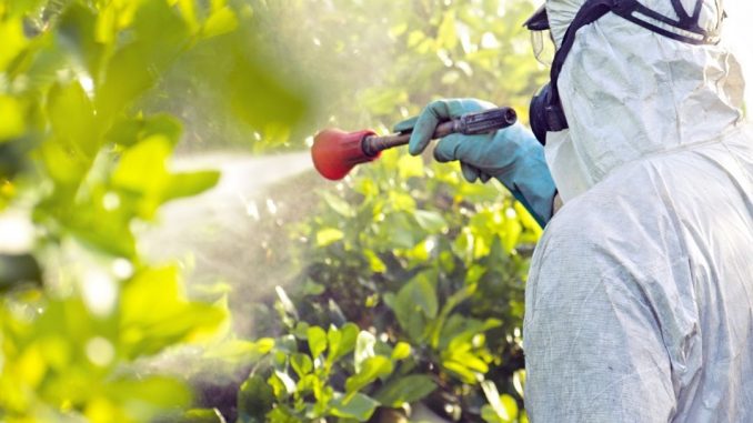 agrotoxico aplicação de agrotoxico