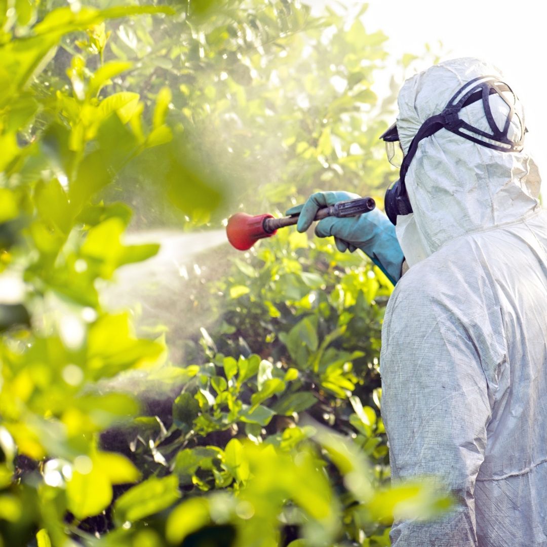 aplicação de agrotoxico