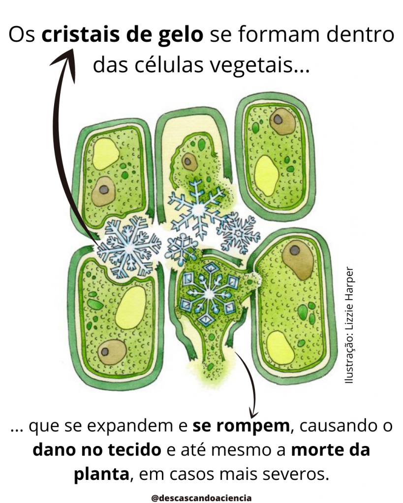 Aquecimento resfriamento global