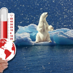 foto montagem de um urso polar em um bloco de gelo que soltou da geleira e um mão segurando um termômetro apontando altas temperaturas
