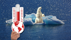 foto montagem de um urso polar em um bloco de gelo que soltou da geleira e um mão segurando um termômetro apontando altas temperaturas