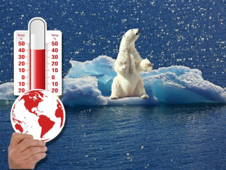 foto montagem de um urso polar em um bloco de gelo que soltou da geleira e um mão segurando um termômetro apontando altas temperaturas