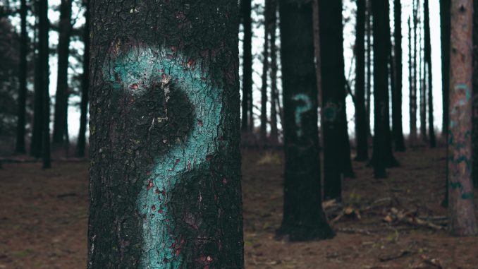 evan-dennis-i--IN3cvEjg-unsplash