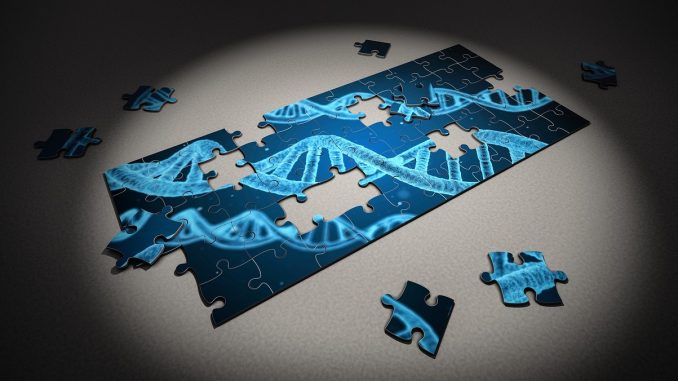 puzzle-gf000716c3_1280 dna, biotecnologia