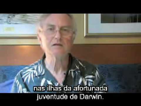 O conto do jabuti gigante e do lagarto, por Richard Dawkins