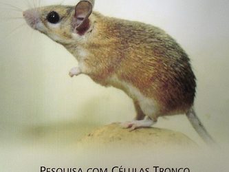 Uso de animais em pesquisa – campanha da FAPERJ