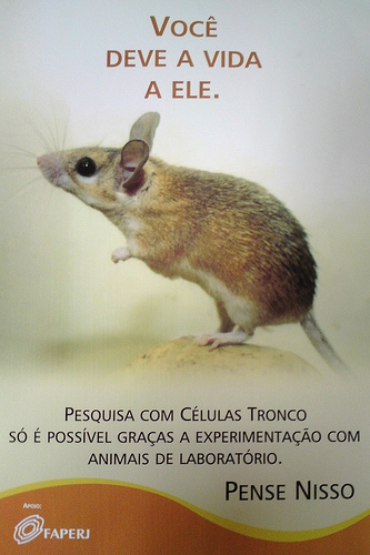 Uso de animais em pesquisa – campanha da FAPERJ