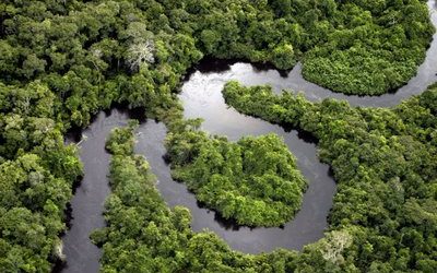 Amazônia NÃO é o “pulmão” do mundo. Ou pode ser?