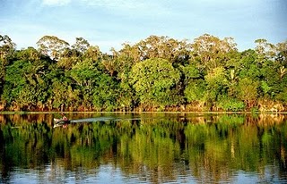 A importância dos ambientes aquáticos no ciclo do carbono amazônico