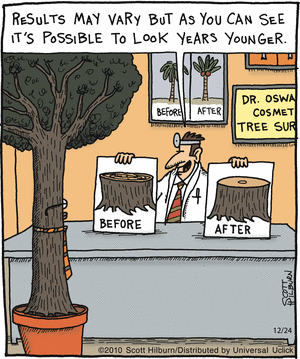 Quando árvores envelhecem