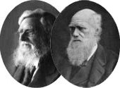 darwin-wallace-evolucao.jpg