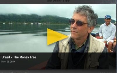Brasil: A árvore de dinheiro