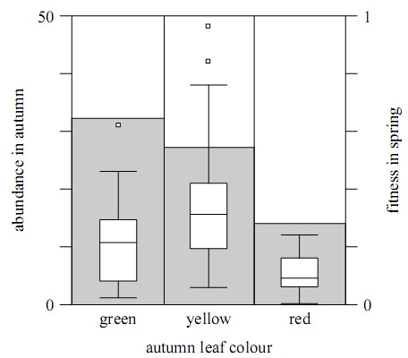 insetos-planta-cores-outono.jpg