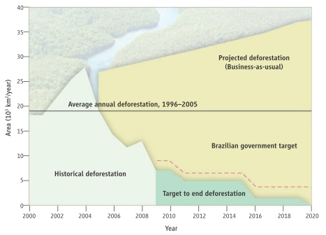 mapa amazônia.jpg