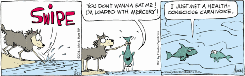 mercurio-carnivoro-peixe-saude.gif