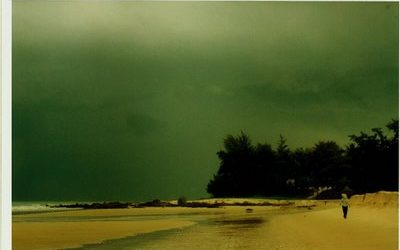 Meteorologia com plantas