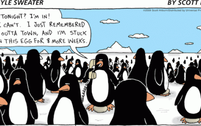 A difícil vida de um pinguim macho