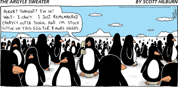 A difícil vida de um pinguim macho