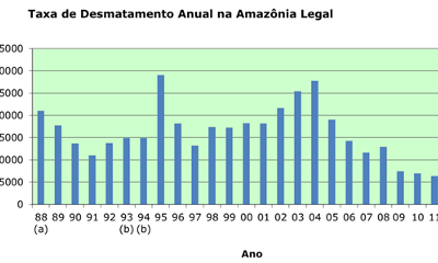 Desmatamento aumenta na floresta Amazônica