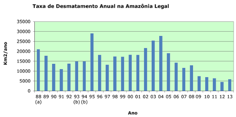 Desmatamento aumenta na floresta Amazônica