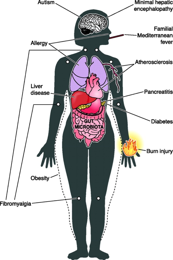 Microbiota2