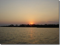 pantanal 068