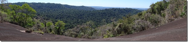 Vista da floresta a partir da canga (floresta1)