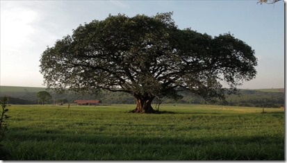 fazenda-da-toca