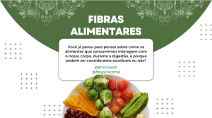 Imagem com um prato de comidas variadas e acima está escrito "Fibras alimentares: Você já parou para pensar sobre como os alimentos que consumimos interagem com o nosso corpo, durante a digestão, e porque podem ser considerados saudáveis ou não?"