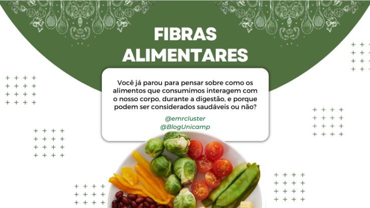 Imagem com um prato de comidas variadas e acima está escrito "Fibras alimentares: Você já parou para pensar sobre como os alimentos que consumimos interagem com o nosso corpo, durante a digestão, e porque podem ser considerados saudáveis ou não?"