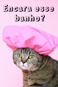 Gato com touca de banho rosa em fundo rosa e a frase "Encara esse banho?"