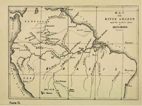 Figura 3. Mapa do Rio Amazonas, realizado por Alfred Russel Wallace durante sua expedição pelo Brasil 1848-1852. Fonte: archive.org