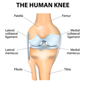 3 Formas de Fortalecer o Ligamento Colateral Medial (LCM)