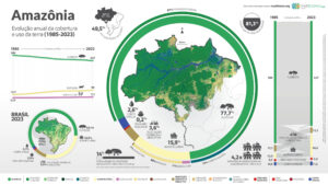 Exemplo de forma de compartilhamento de dados coletados na Amazônia pela ONG MapBiomas. https://brasil.mapbiomas.org/wp-content/uploads/sites/4/2024/09/MBI-Infograficos-Amazonia-9.0-BR-scaled.jpg.