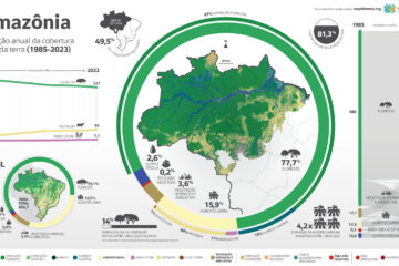 Exemplo de forma de compartilhamento de dados coletados na Amazônia pela ONG MapBiomas. https://brasil.mapbiomas.org/wp-content/uploads/sites/4/2024/09/MBI-Infograficos-Amazonia-9.0-BR-scaled.jpg.
