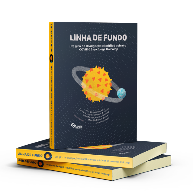 mockup-livro