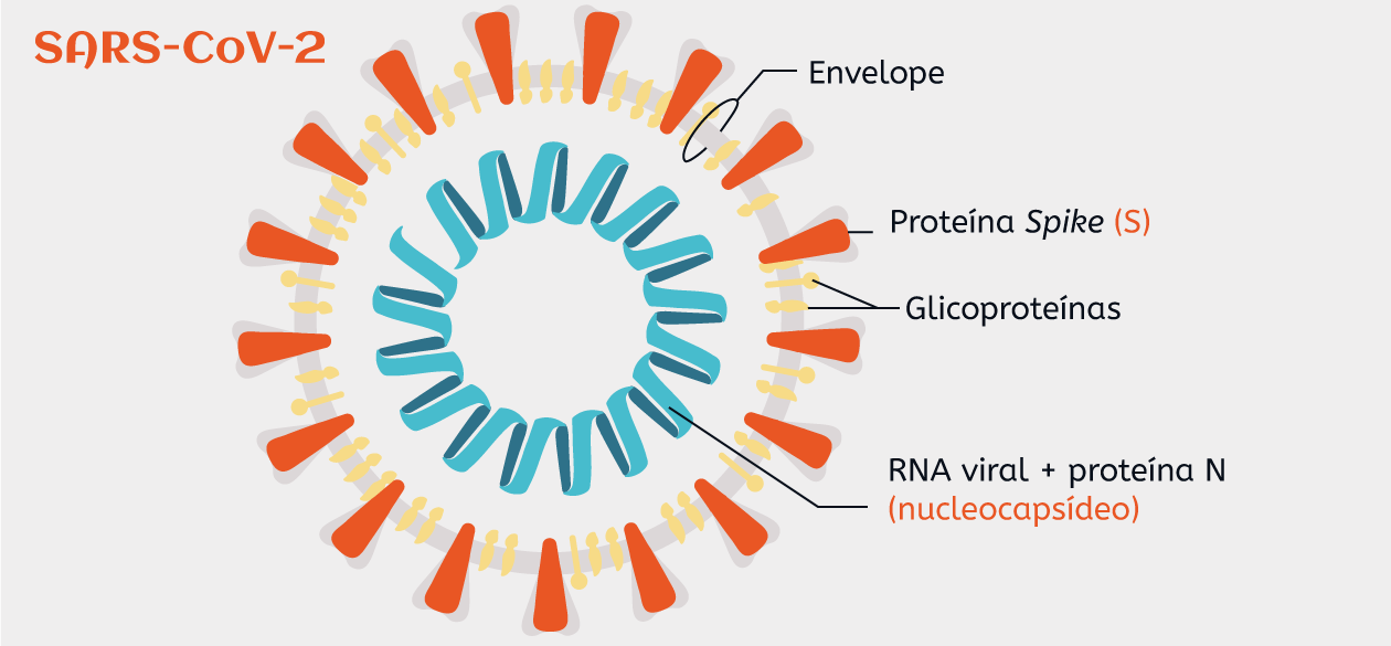 Adaptado de uma imagem de Davian Ho (CC BY) para o Innovative Genomics Institute.