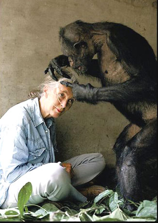 jane goodall.jpg