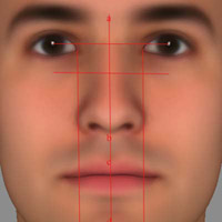 nosesymmetry2.jpg